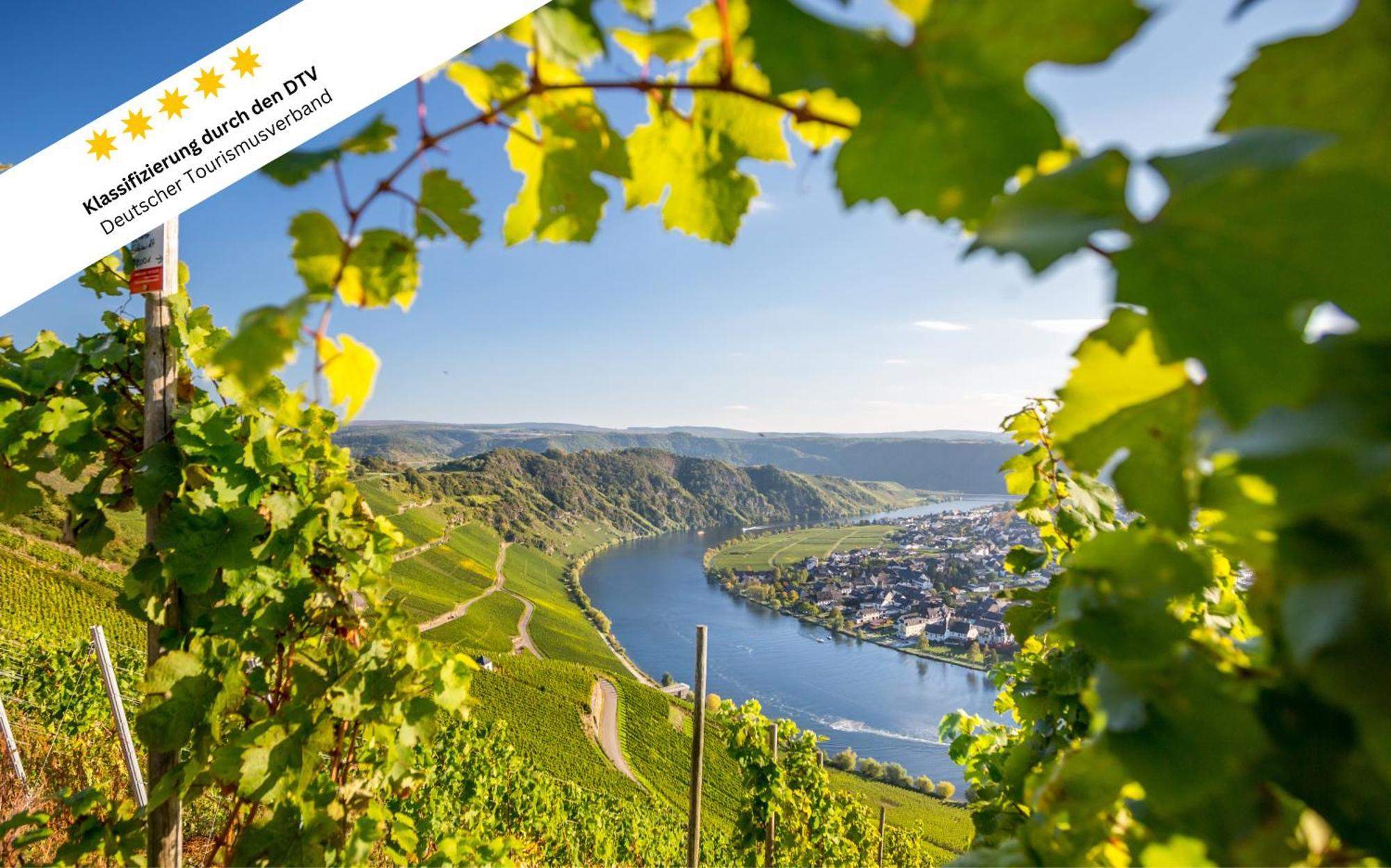Wohlfuehloase An Der Mosel Apartment Osann-Monzel Ngoại thất bức ảnh